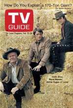 TV Guide cover - Andrew Duggan, Wayne Maunder, James Stacy - February 22, 1969