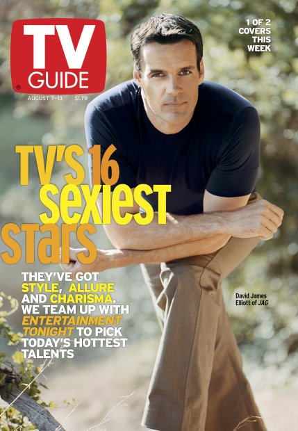 TV Guide cover - David James Elliott - August 7, 1999